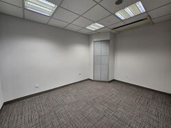 Tan Chong Tower (D7), Office #598608001